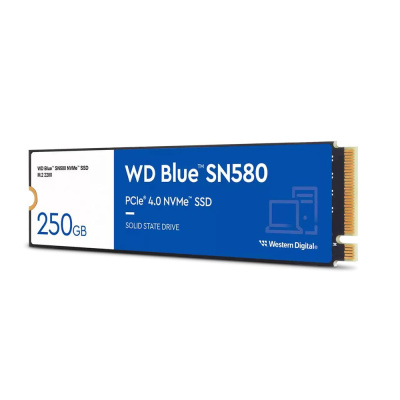 Western Digital WDS250G3B0E Твердотельный накопитель 1