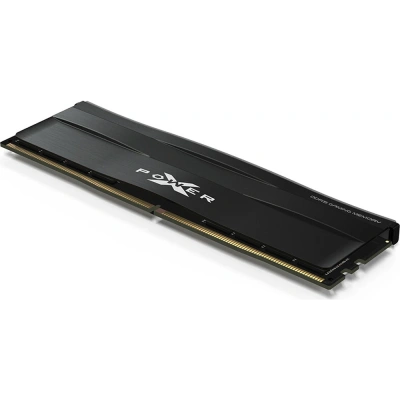 Silicon Power SP032GXLWU60AFSE Оперативная память 4