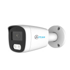 AltCam ICF24IR-3(RU) IP видеокамера