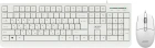 Acer OCC400 ZL.ACCCC.014 Клавиатура + мышь