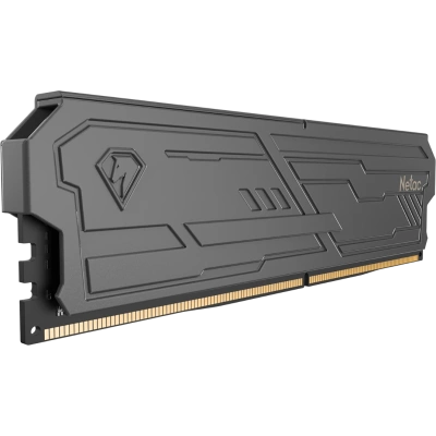 Netac NTSHD4P32SP-16K Оперативная память 4