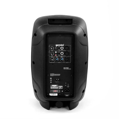 Gemini AS-2110P Акустическая система 3