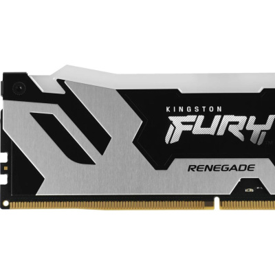 Kingston FURY Renegade Silver RGB KF588CU42RSAK2-48 Модуль памяти 2
