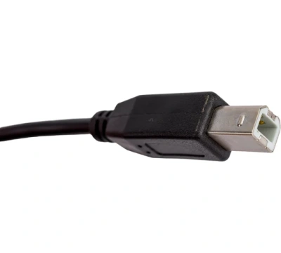 Cablexpert CCF-USB2-AMBM-6 USB 2.0 Кабель 2