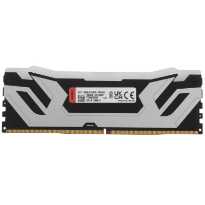 Kingston FURY Renegade Silver RGB KF588CU42RSA-24 Модуль памяти 2