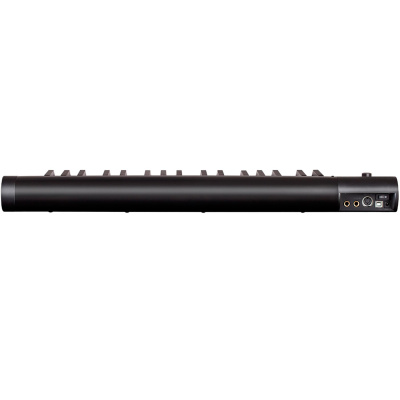 Icon iKeyboard 4 Nano 110105A2019 MIDI клавиатура 2
