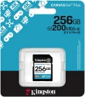 Kingston SDG4/256GB Карта памяти 3