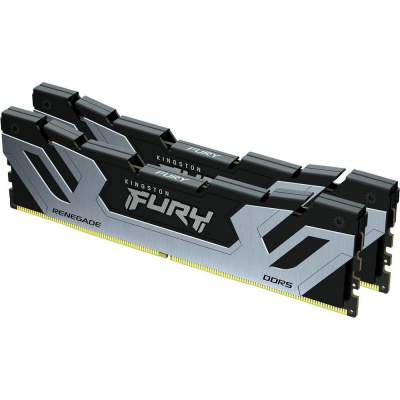 Kingston FURY Renegade Silver RGB KF588CU42RSK2-48 Модуль памяти 2