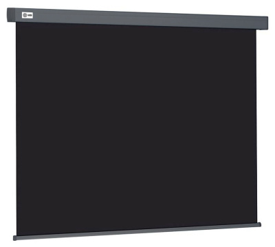 Cactus Wallscreen CS-PSW-124X221-BK Экран 1