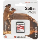 Kingston SDR2/256GB Карта памяти 2