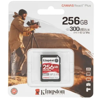 Kingston SDR2/256GB Карта памяти 1