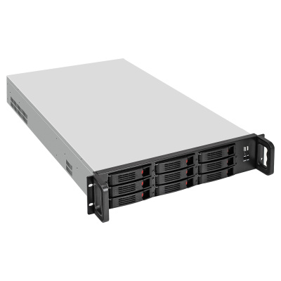 Exegate Pro 2U650-HS09 RM EX284961RUS Корпус