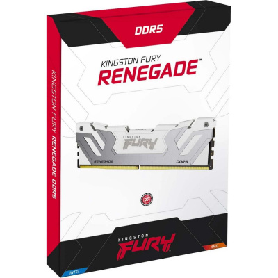 Kingston FURY Renegade White RGB KF588CU42RWK2-48 Модуль памяти 2