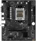 Maxsun MS-Challenger A620A 2.5G A620 6940709660270 Материнская плата