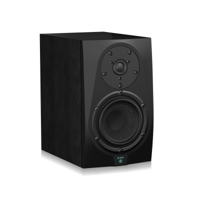 Icon DT-6S 110302A1001 Акустическая система