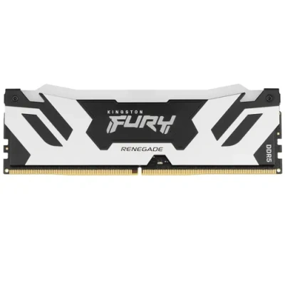Kingston FURY Renegade Silver/Black KF572C38RSA-16 Модуль памяти 1