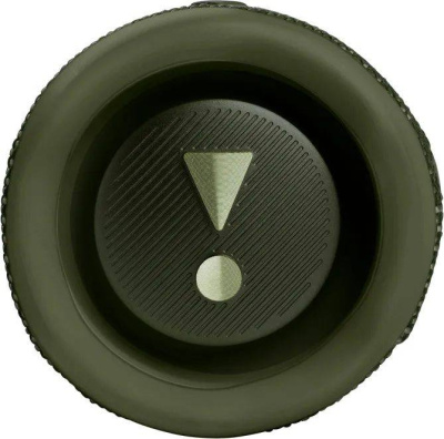 JBL Flip 6 JBLFLIP6GREN Колонка портативная 1