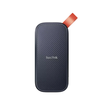 SanDisk SDSSDE30-1T00-G26 1TB Внешний накопитель SSD 1