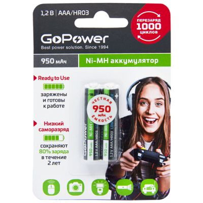 GoPower HR03 00-00018321 Аккумулятор предзаряженный 2