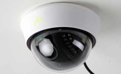 FOX FX-D8V-IR Аналоговая видеокамера 1