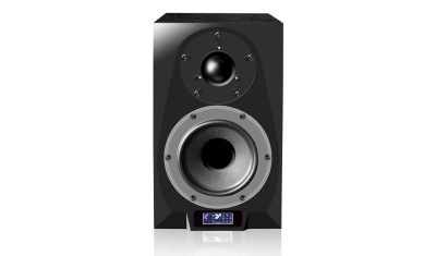 Icon DT-8S 110302A1002 Акустическая система 1