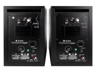 Icon SX-6A (пара) 10105022011-P Акустическая система 3