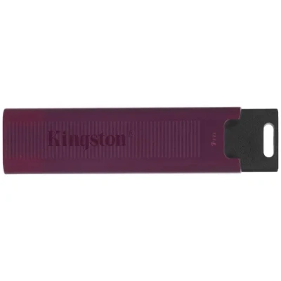 Kingston DTMAXA/1TB Память USB Flash 1