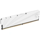 NETAC NTSSD4P32SP-16W Модуль памяти 6