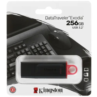 Kingston DTX/256GB Флэш-накопитель USB3.2 256GB 1
