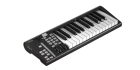 Icon Artist 25X MIDI клавиатура 2