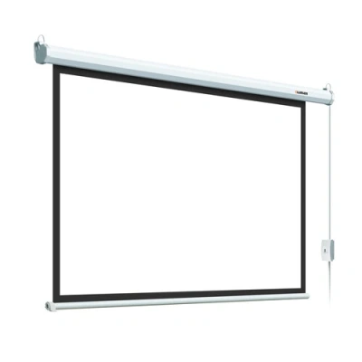 Lumien Eco Control LEC-100118 Экран с электроприводом 2