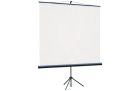 Lumien Eco View LEV-100111 Экран на штативе 153x203 см 2
