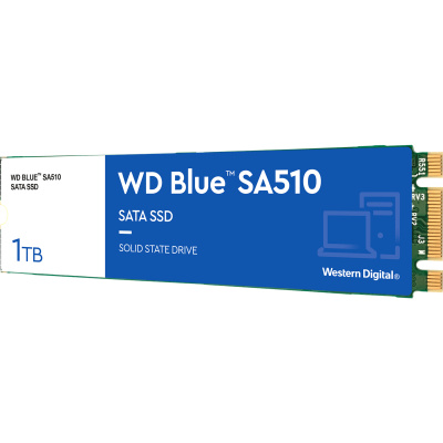 WD Blue SA510 1TB (WDS100T3B0B) Твердотельный накопитель 1