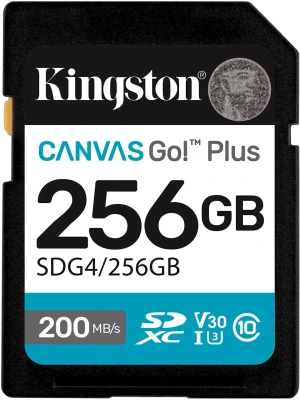 Kingston SDG4/256GB Карта памяти 1