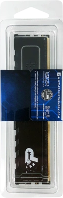 Patriot PSP416G3200H1 Модуль памяти 4