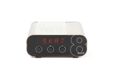 Bastion SKAT 8А Автоматическое зарядное устройство  3