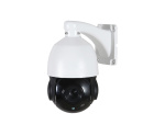 AltCam ISDV25IR IP-камера