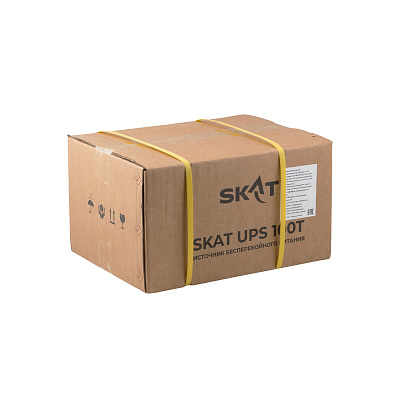 Бастион SKAT-UPS 100T (4543) ИБП 7