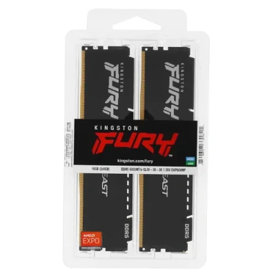 Kingston FURY Beast Black EXPO KF560C36BBEK2-16 Модуль памяти 2