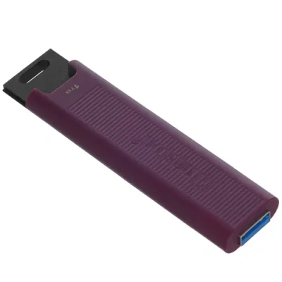Kingston DTMAXA/1TB Память USB Flash 3