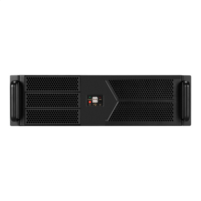 Exegate Pro 3U400-07 EX297730RUS Серверный корпус 8