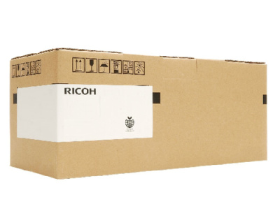 Ricoh AW110037 Термостат 1