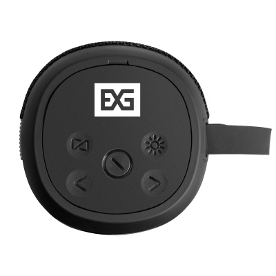 Exegate EX294944RUS Bro 310 Караоке-система 4
