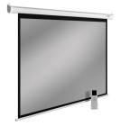 Cactus SIlverMotoExpert CS-PSSME-300X188-WT Экран