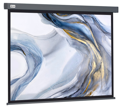 Cactus Wallscreen CS-PSW-128X170-SG Экран