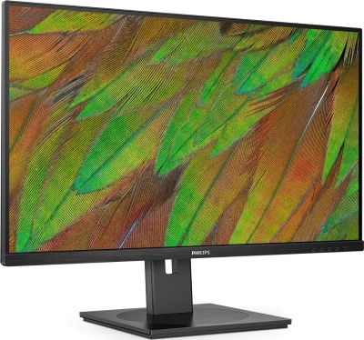 PHILIPS 31.5" 32B1U3900 Монитор 2