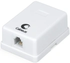 Cabeus WS-6P4C-TEL-1 Розетка телефонная 2