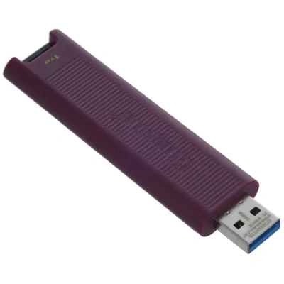 Kingston DTMAXA/1TB Память USB Flash 4