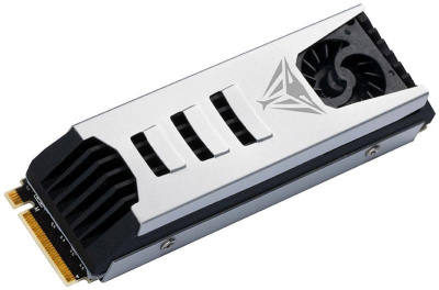 Patriot PV553P4TBM28H Твердотельный накопитель 4
