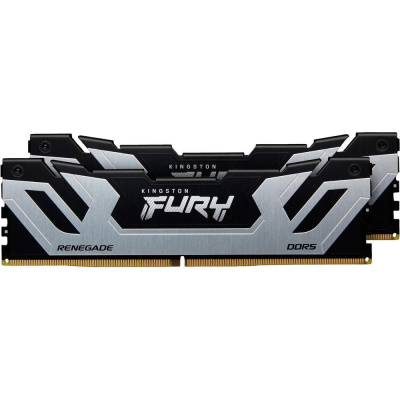 Kingston FURY Renegade Silver RGB KF588CU42RSK2-48 Модуль памяти 1